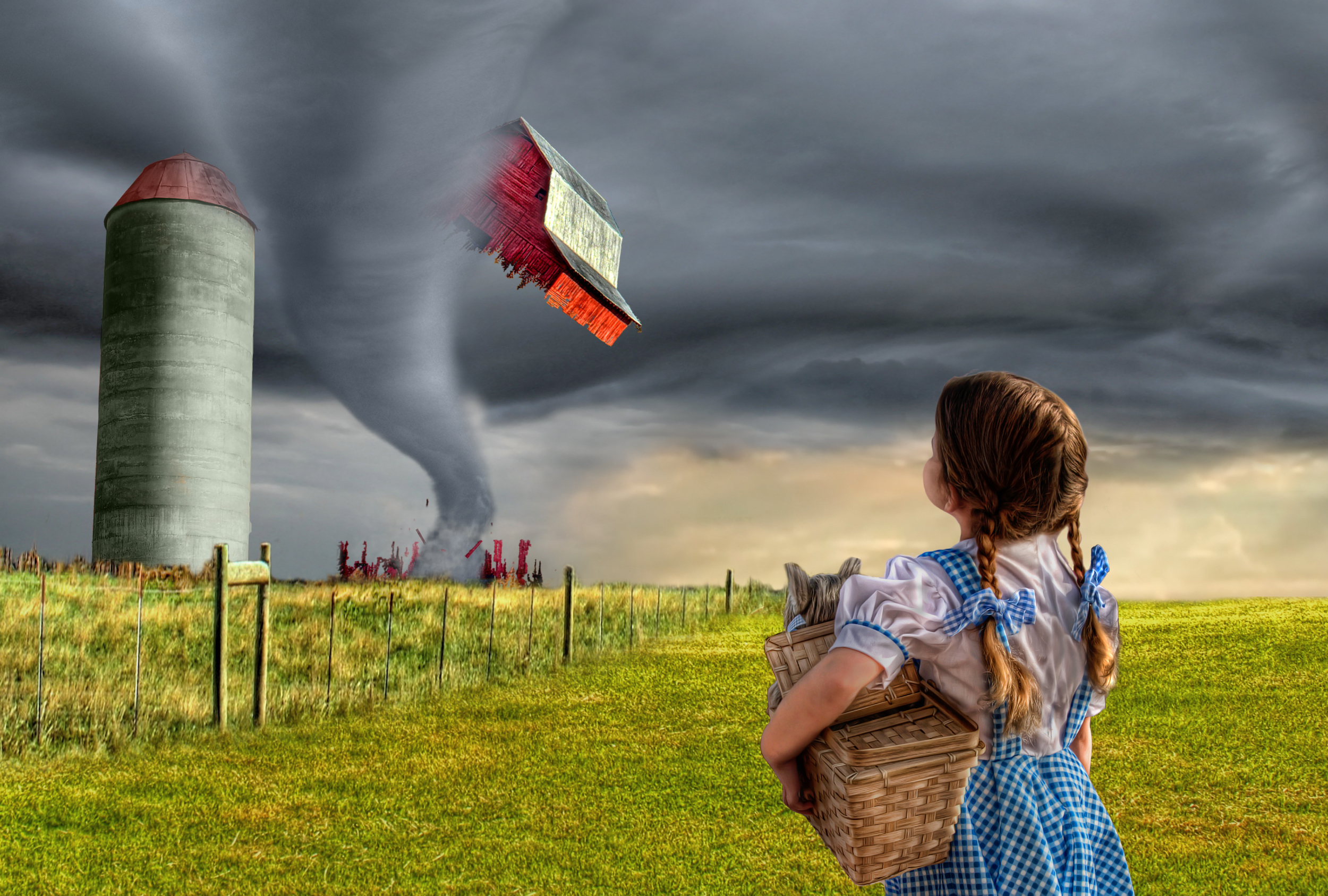 Dorothy and the Tornado (FINAL) v3.jpg