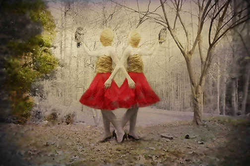 The Guides, 2013