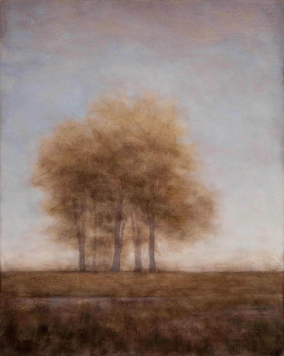 Shade, 24"x30"