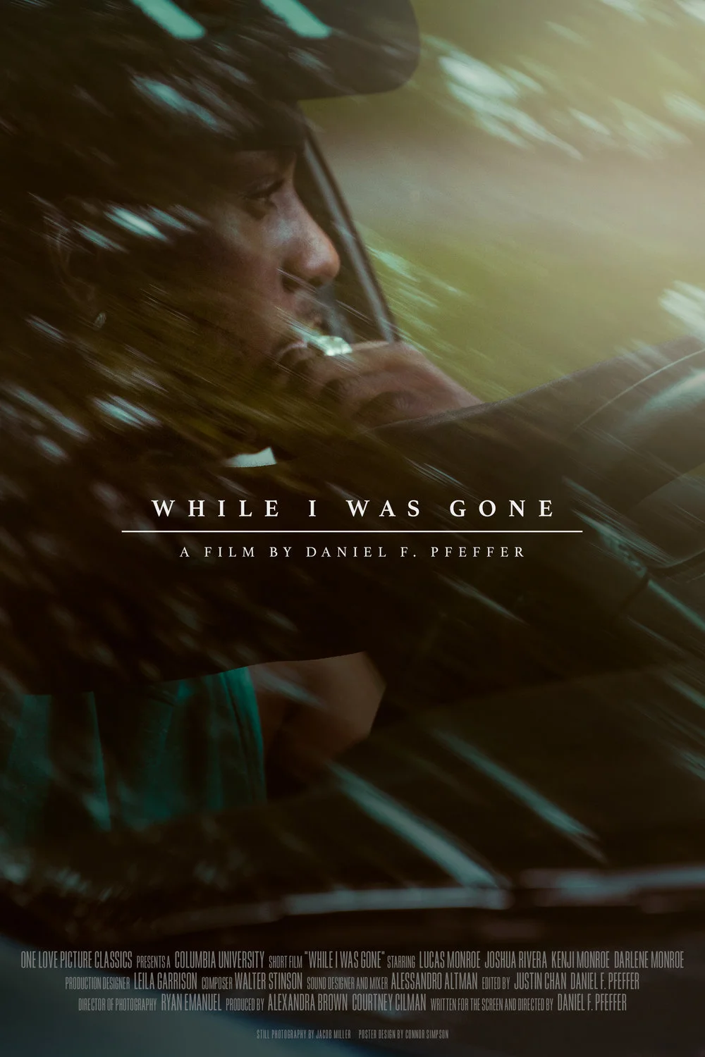 while_i_was_gone_poster_2.jpg