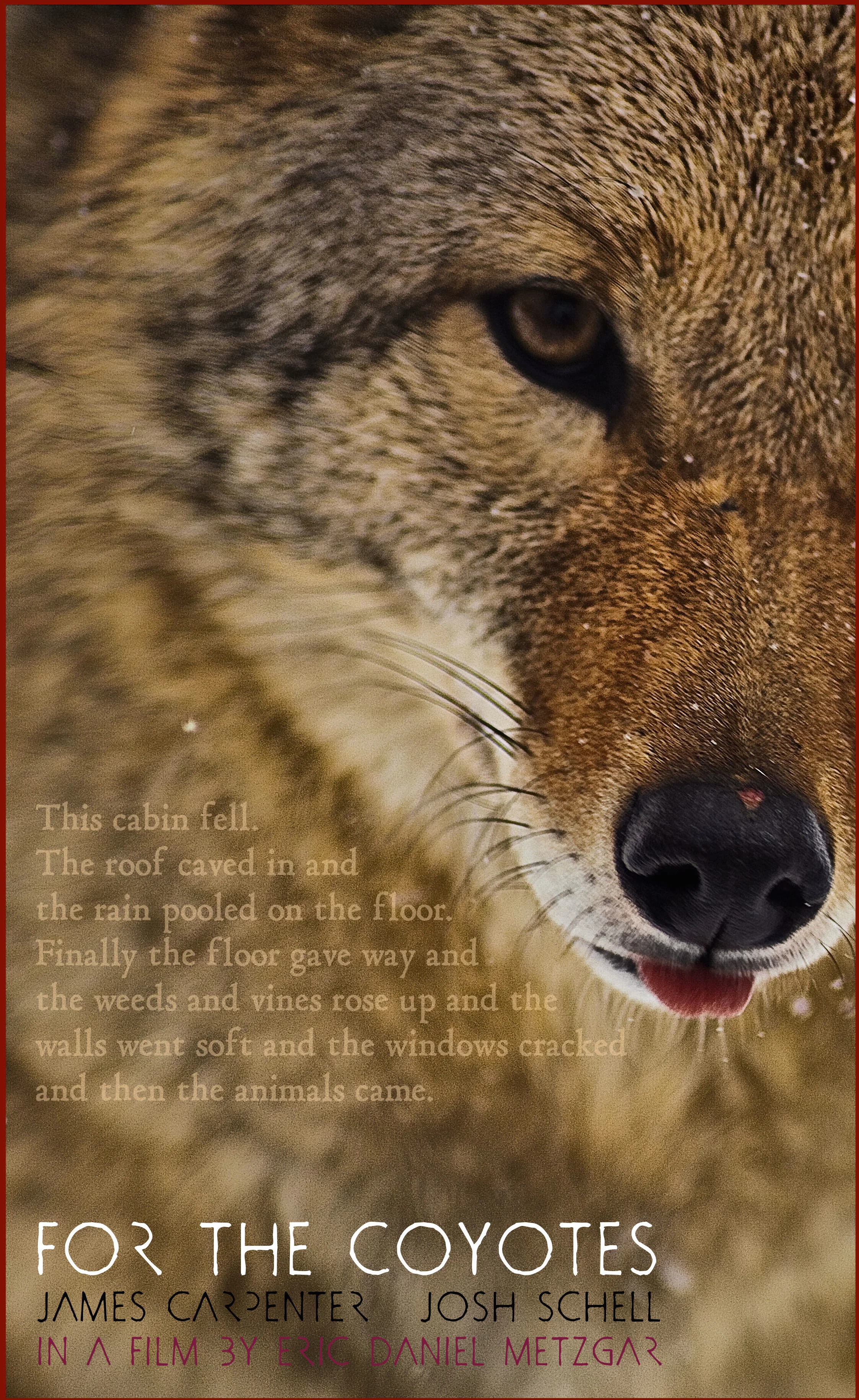 For the Coyotes poster.jpg