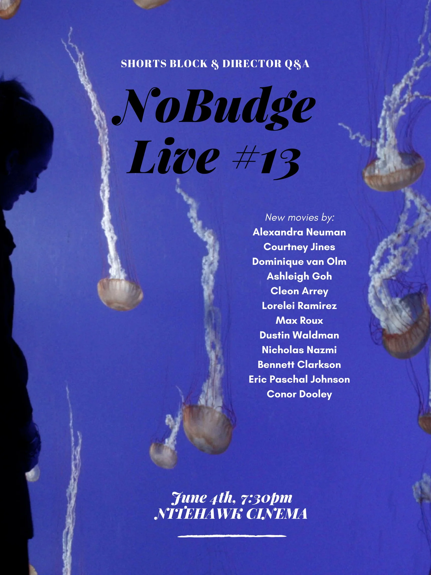 NoBudge Live #13 POSTER.jpg