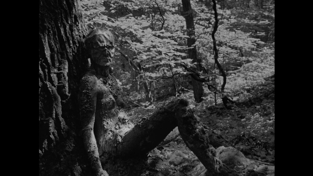 SKINOFMAN_STILL3.jpg