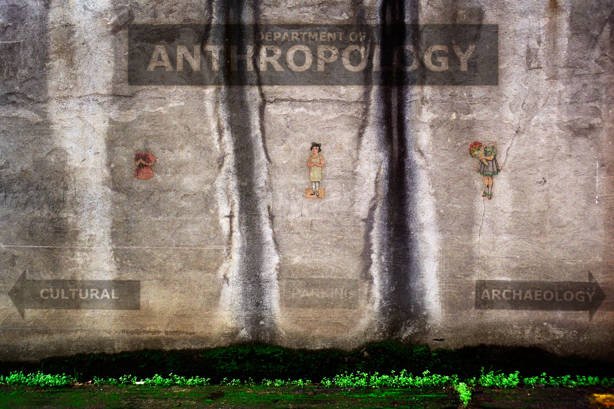 Department of Anthropology