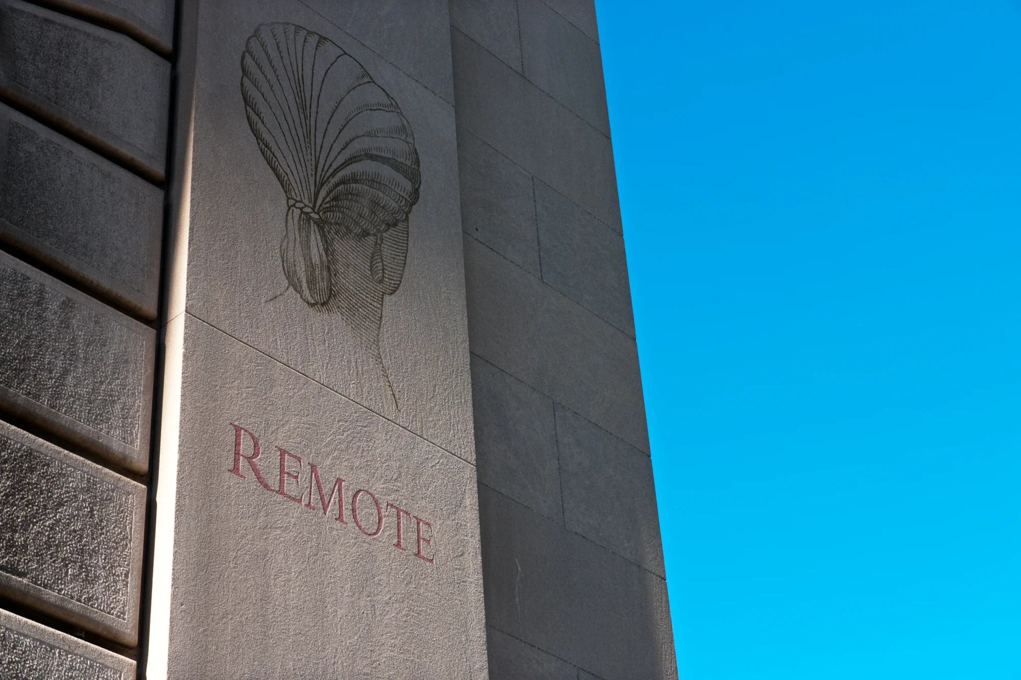 Remote