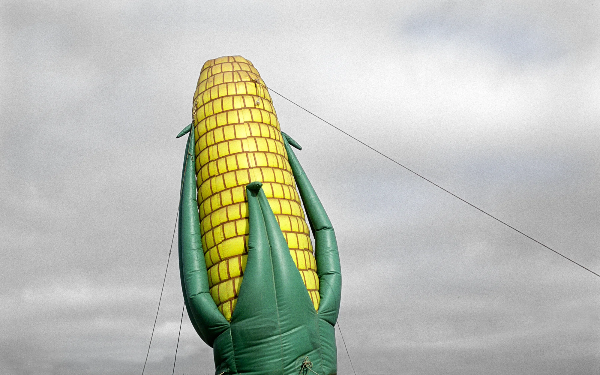 Corvallis, 2002