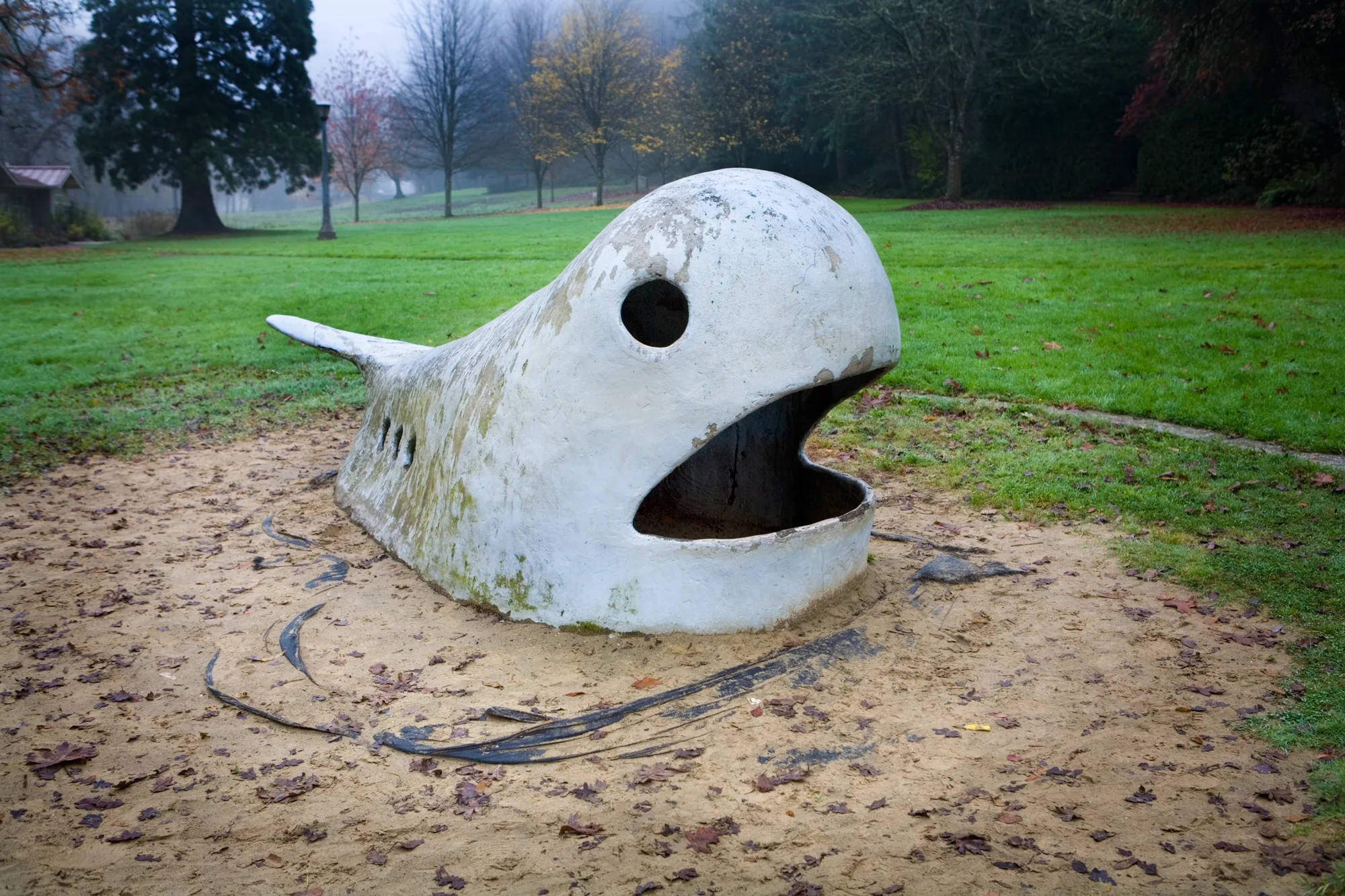 Blue Whale in the Park copy.jpg