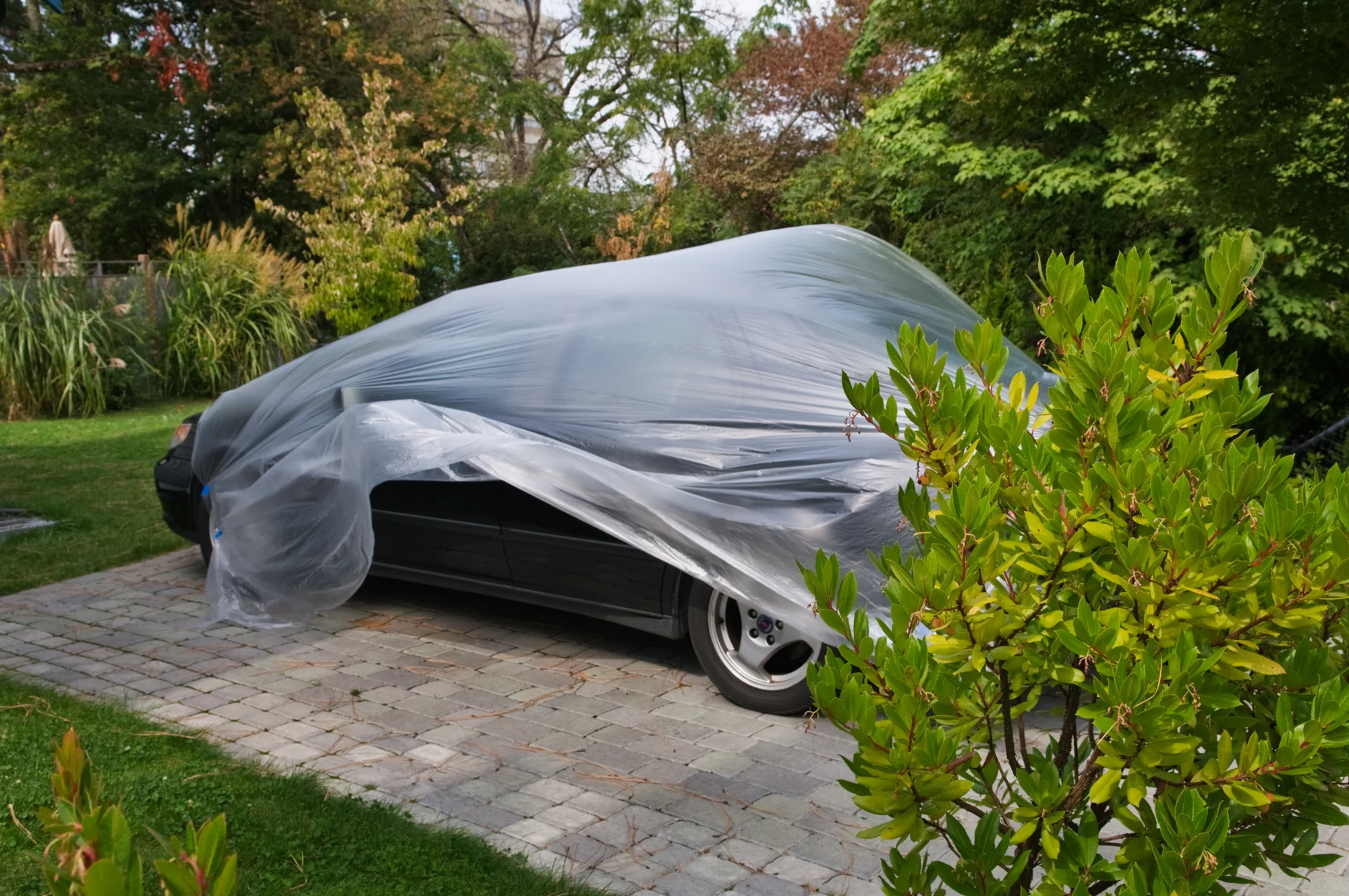 Car with Cover copy.jpg