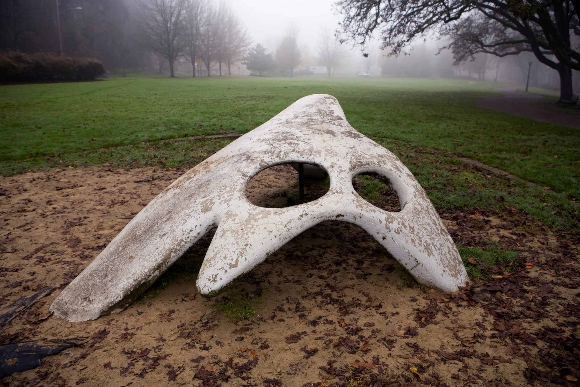 Play Structure in the Park copy.jpg