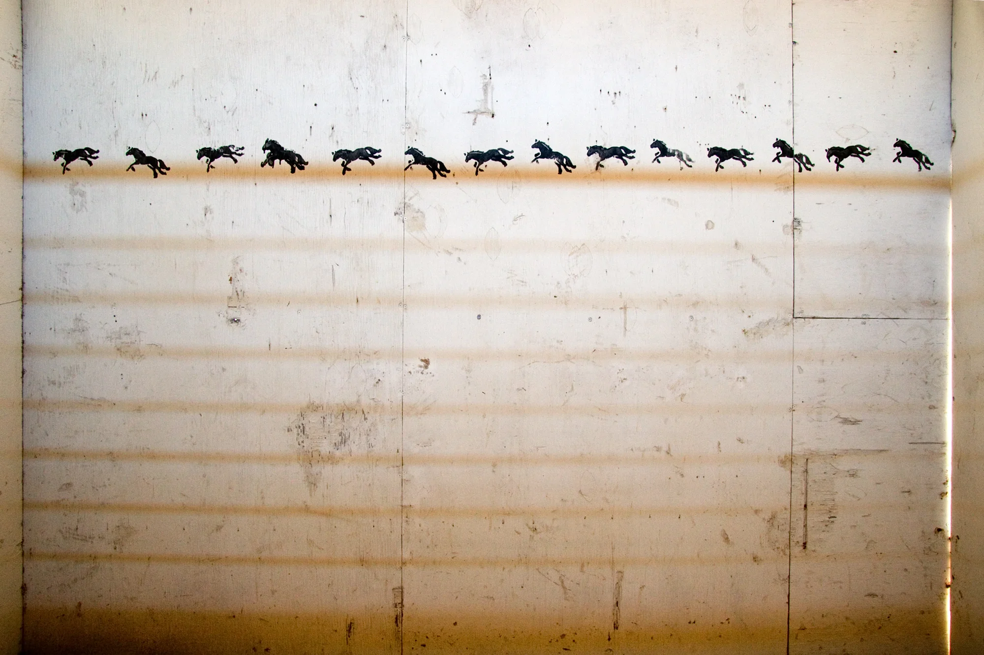 Horses Running copy.jpg