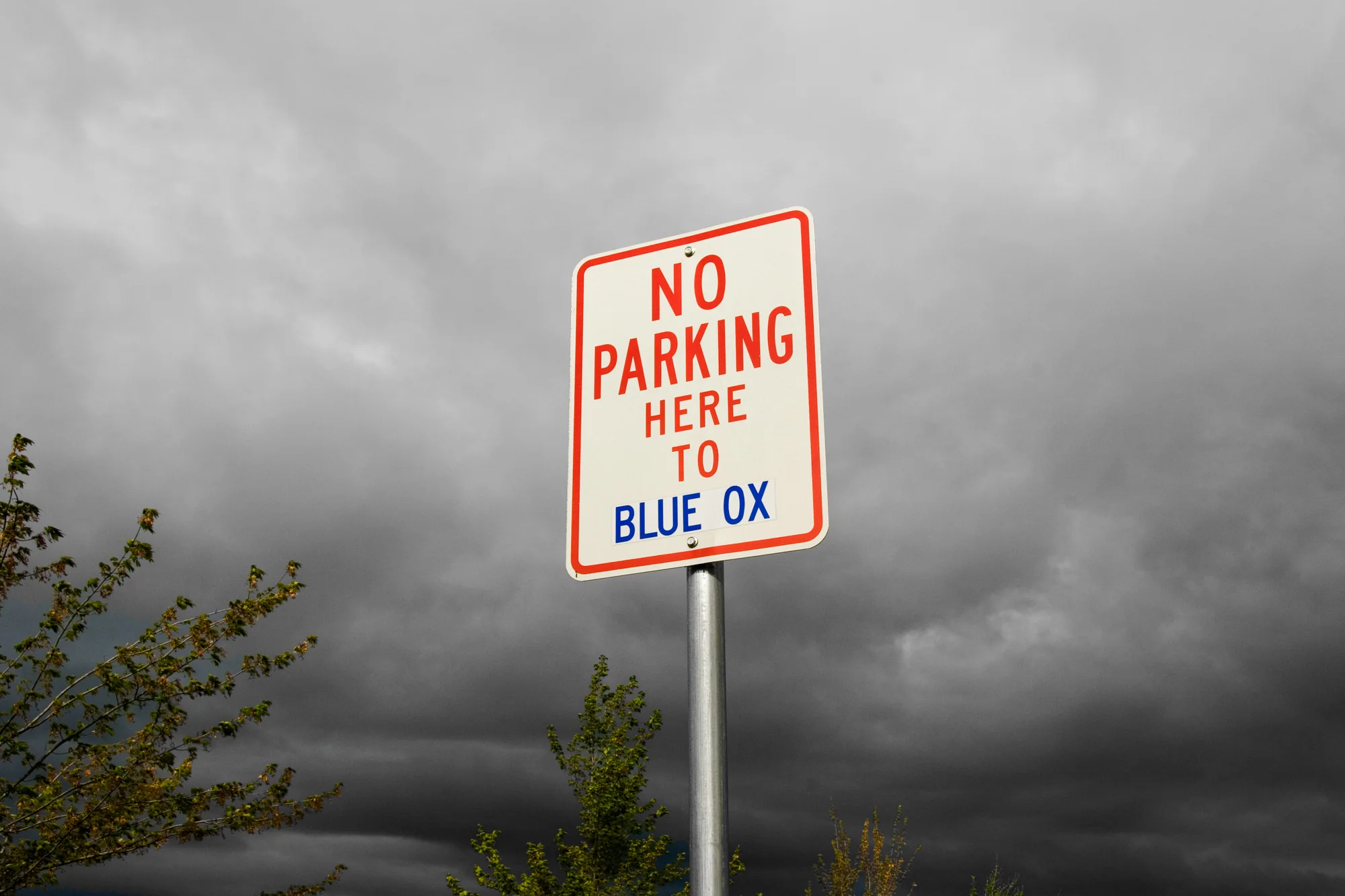 No Parking Here to Blue Ox copy.jpg