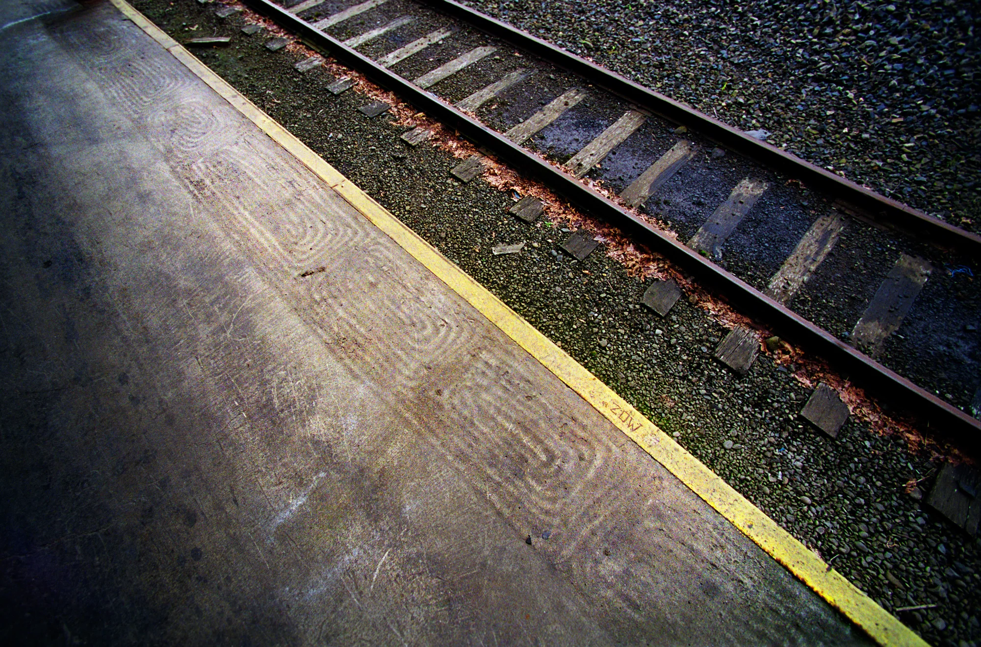 Pattern Dock copy.jpg