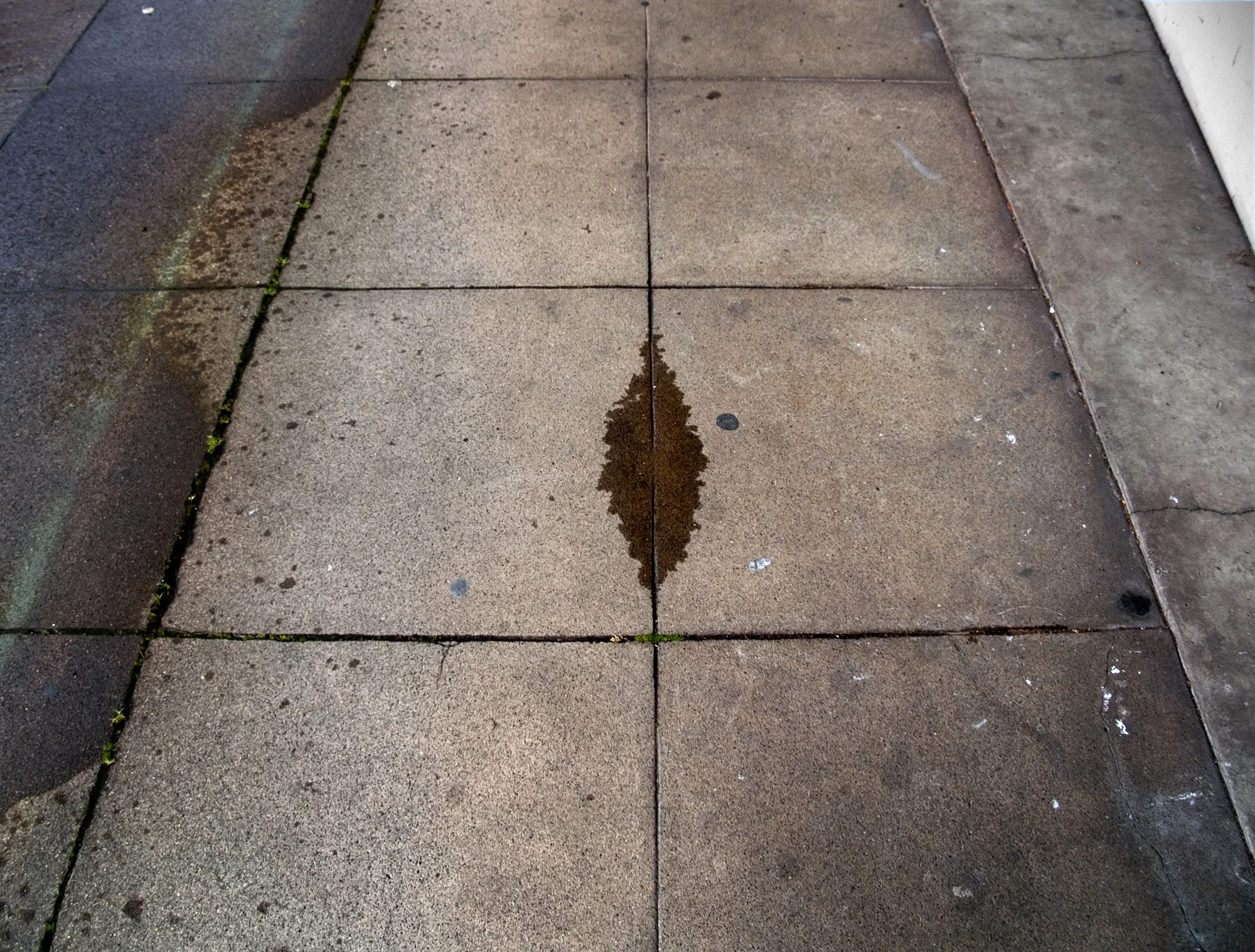 Rain on Sidewalk copy.jpg