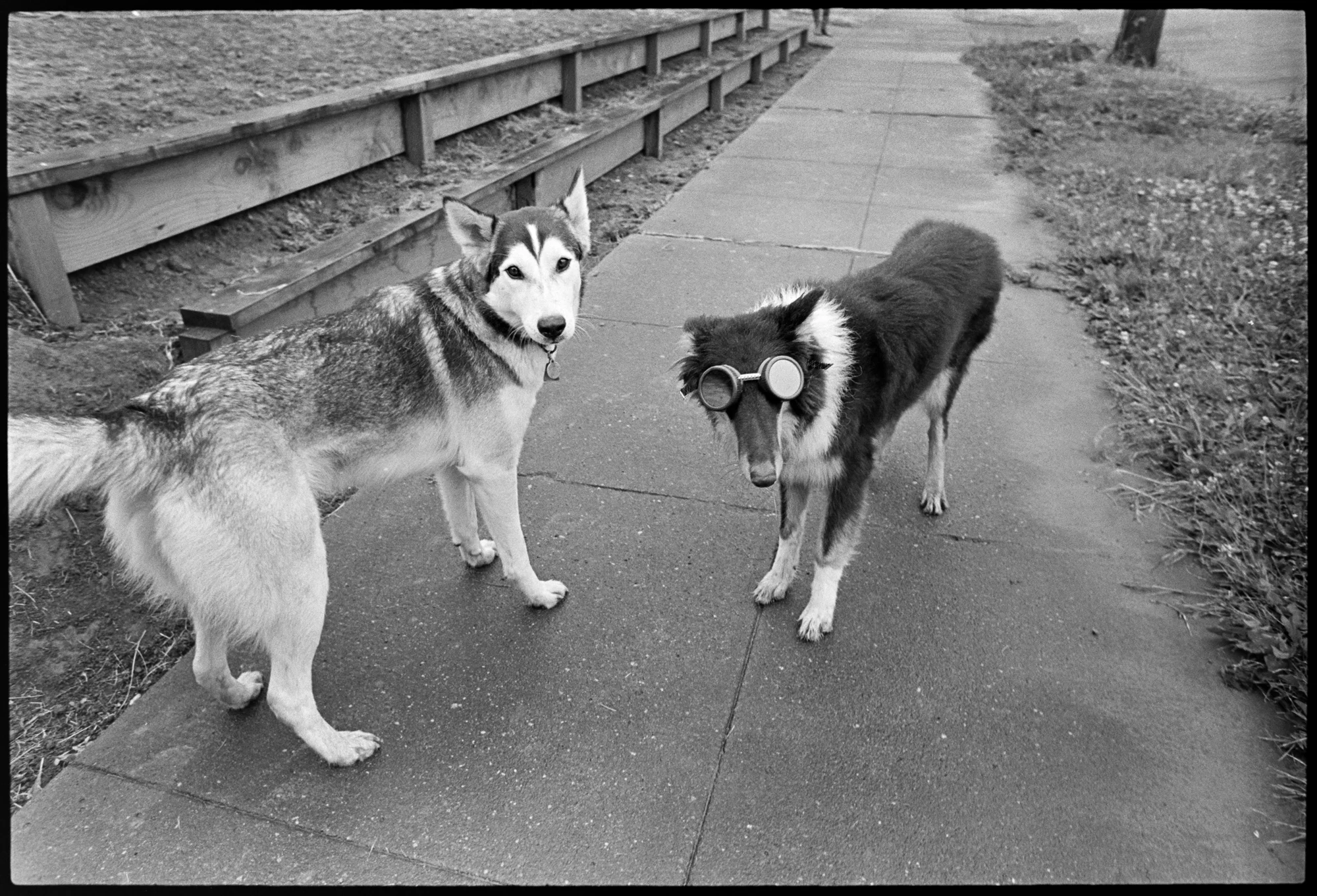 Poppy and Angela copy.jpg