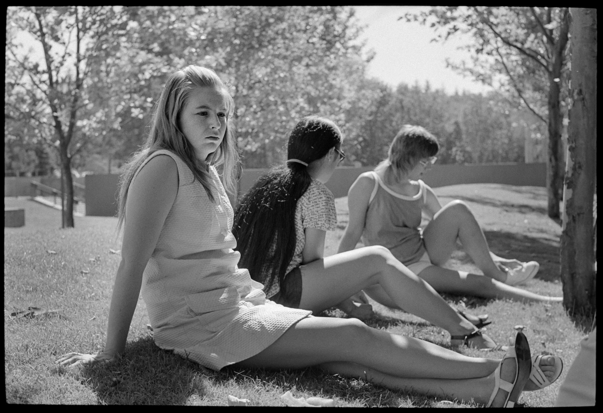 Woman at an Evergreen Picnic copy.jpg