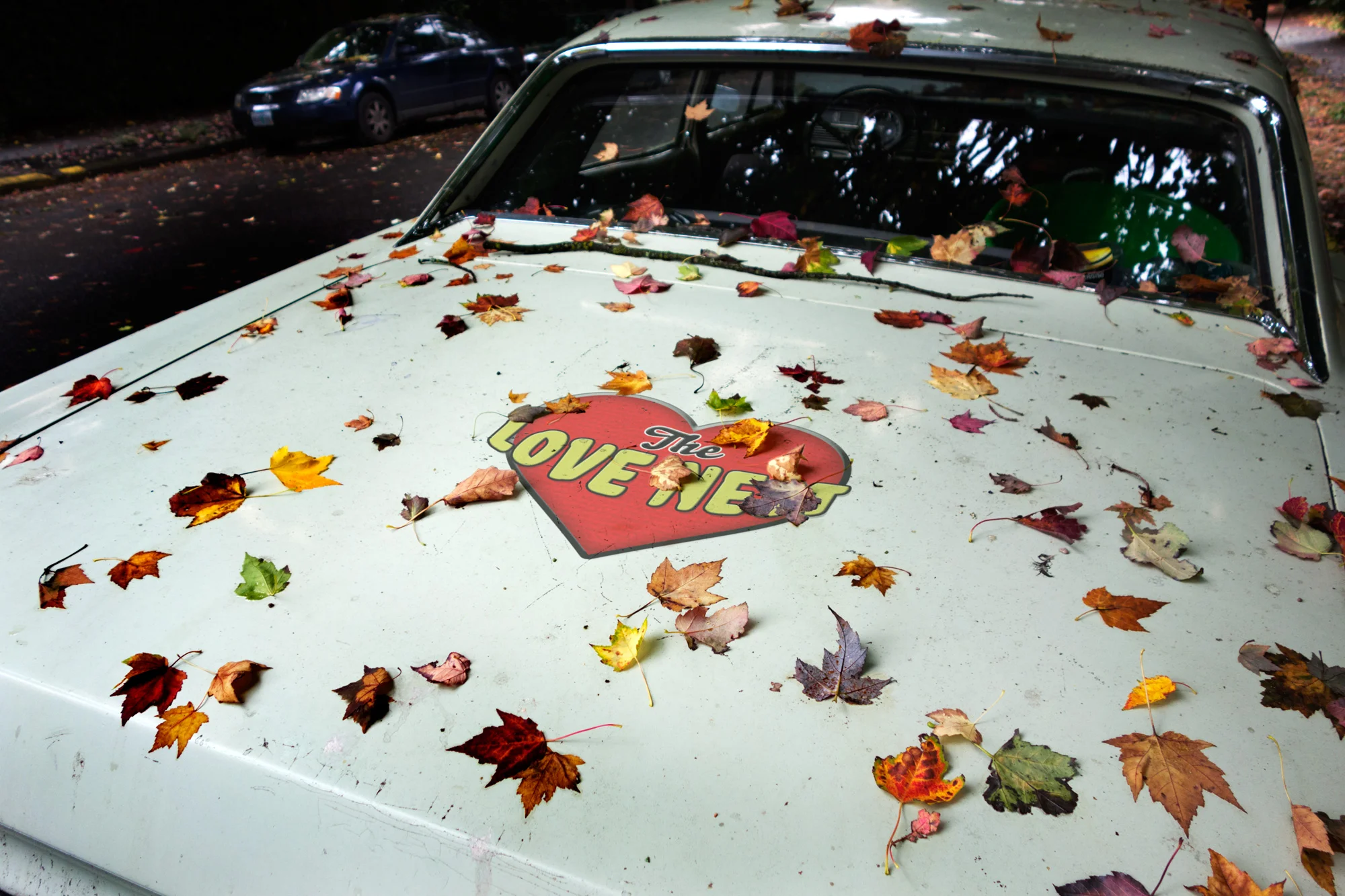 The Love Nest Car