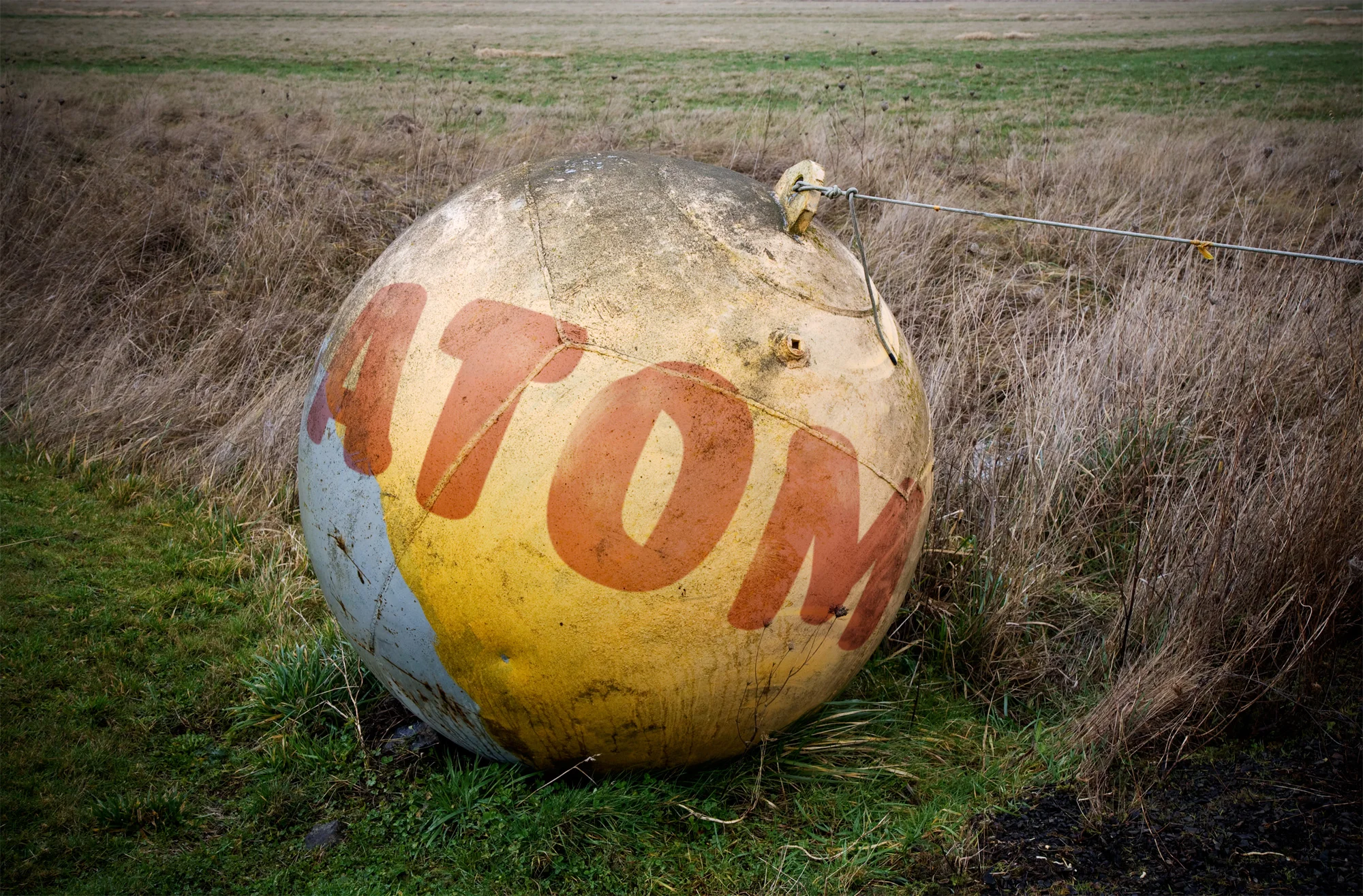 ATOM.jpg