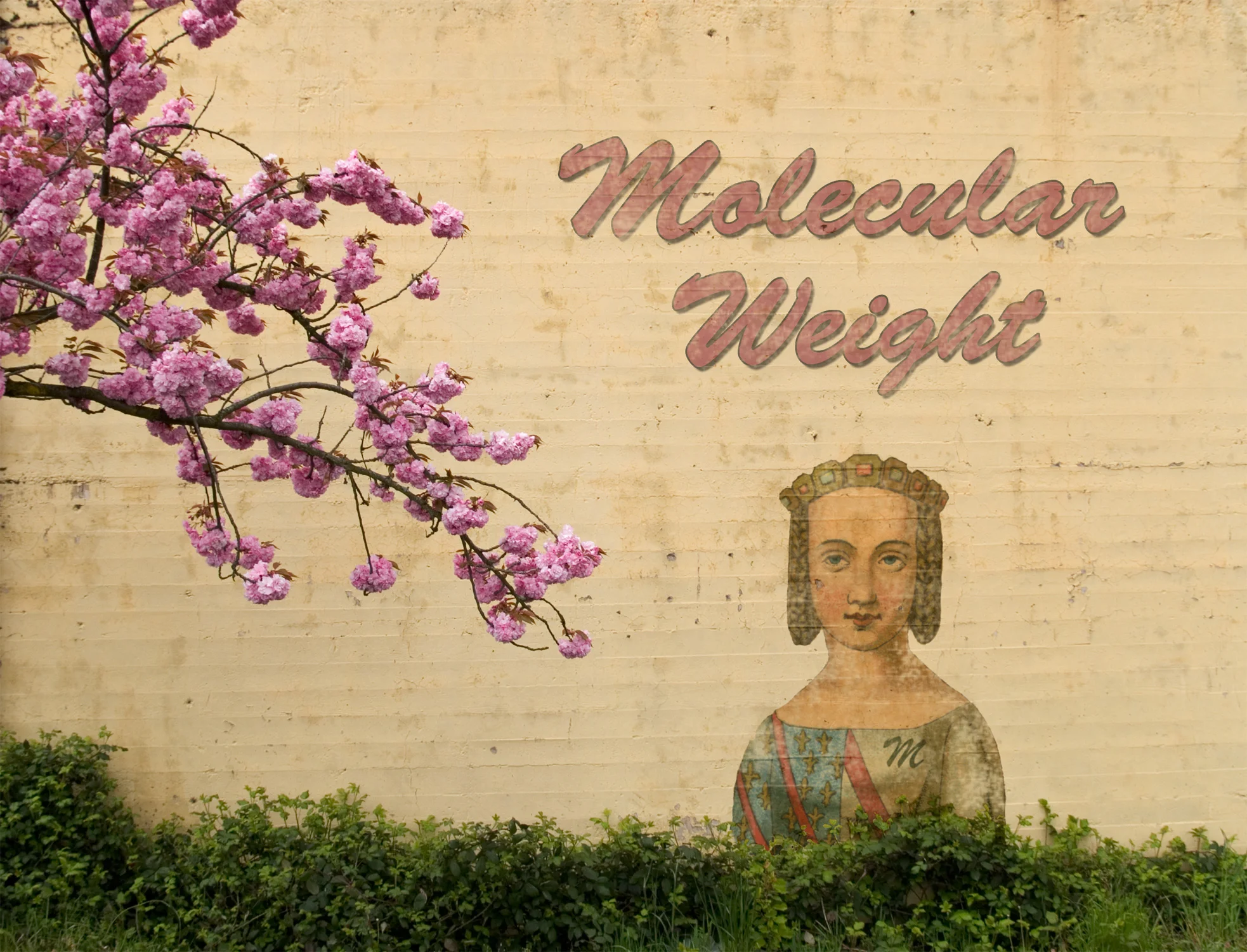 Molecular-Weight.jpg