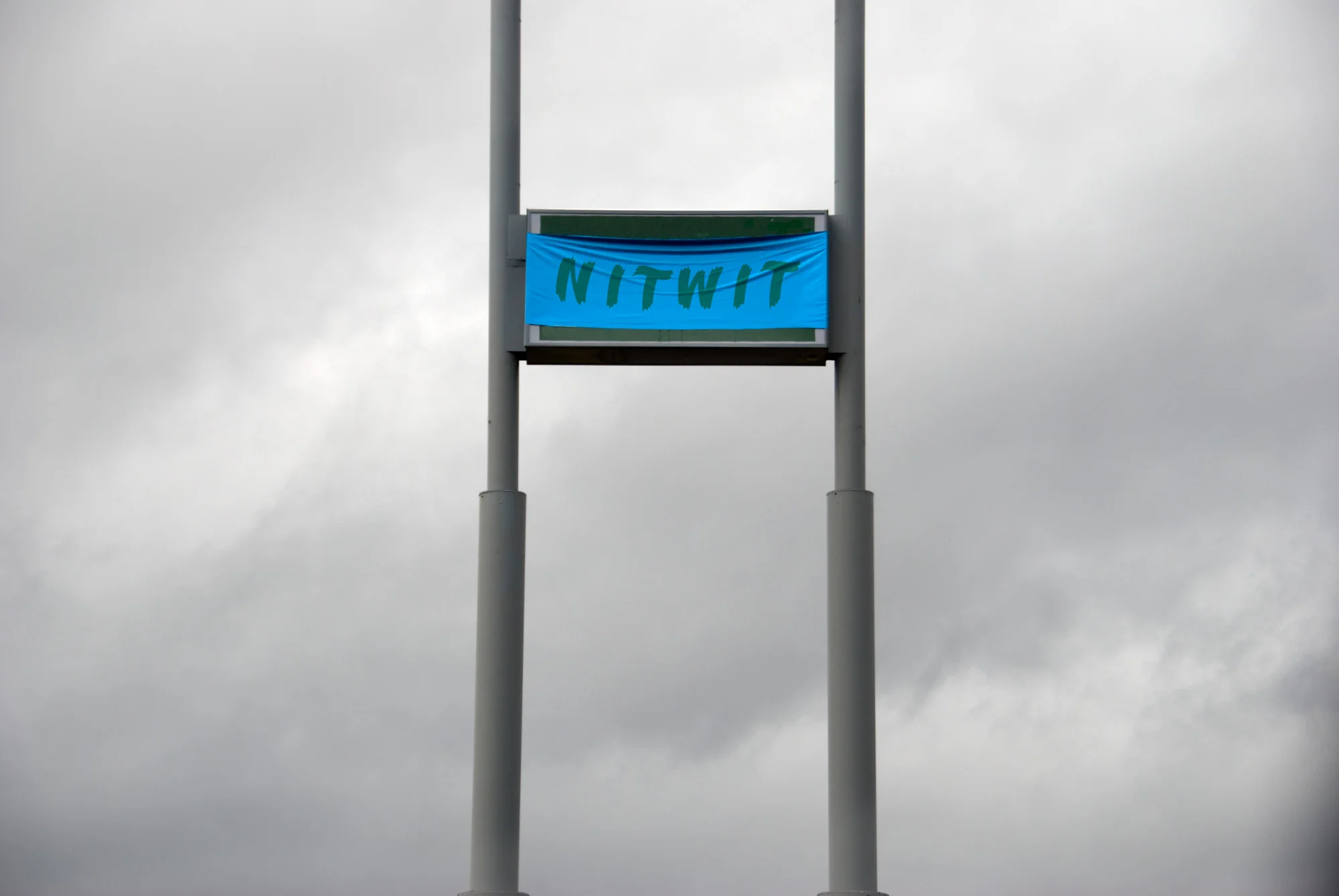 NITWIT.jpg
