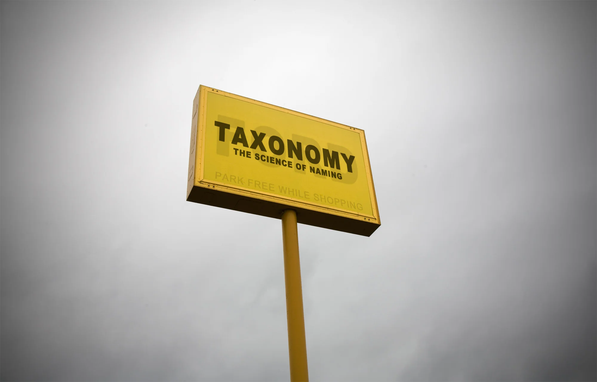 TAXONOMY.jpg
