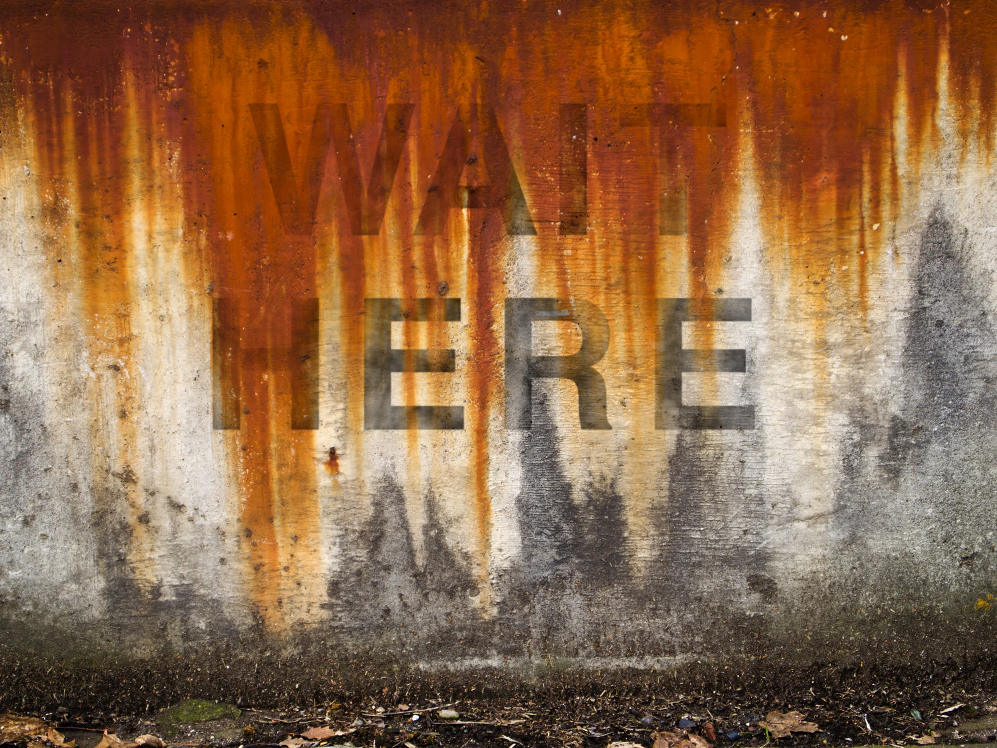 WAIT-HERE.jpg