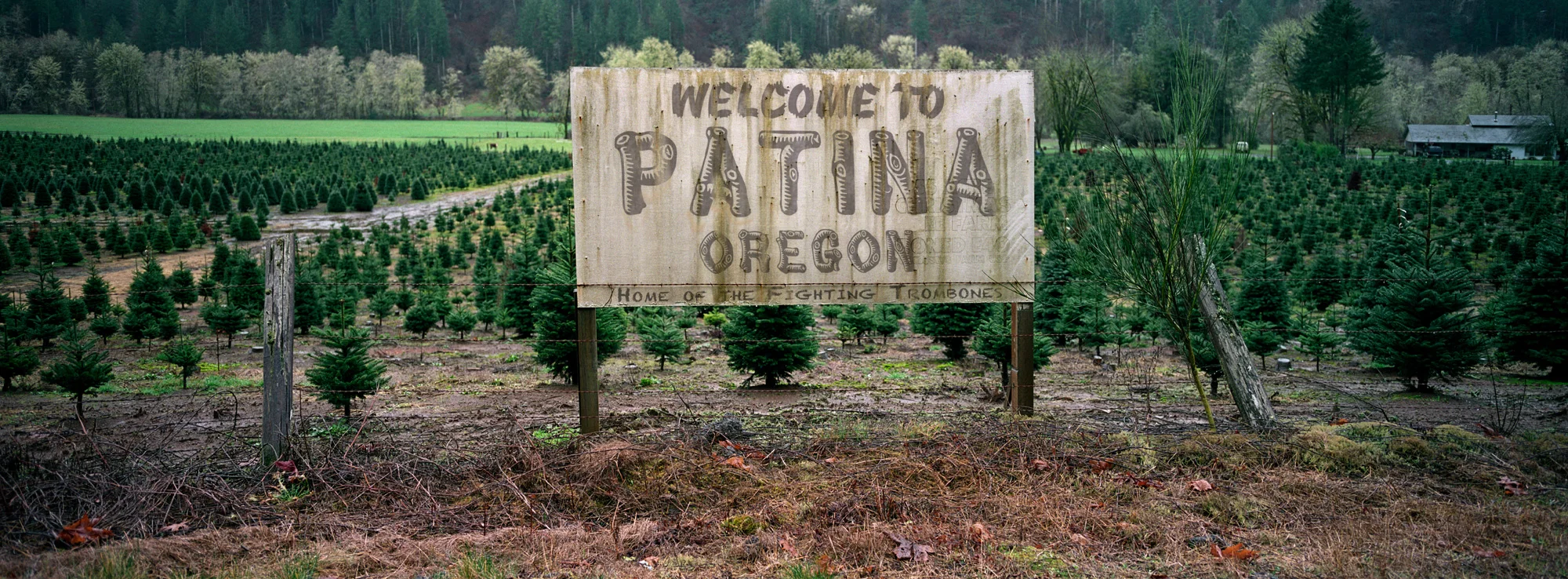 Welcome-to-Patina.jpg