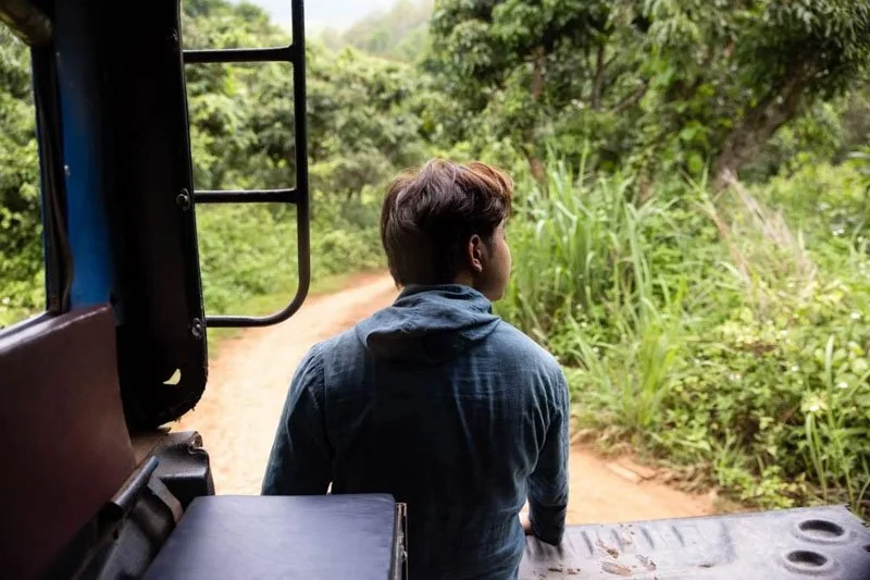 Person sitting on the back of a vehicle, looking at lush green foliage and a dirt path.