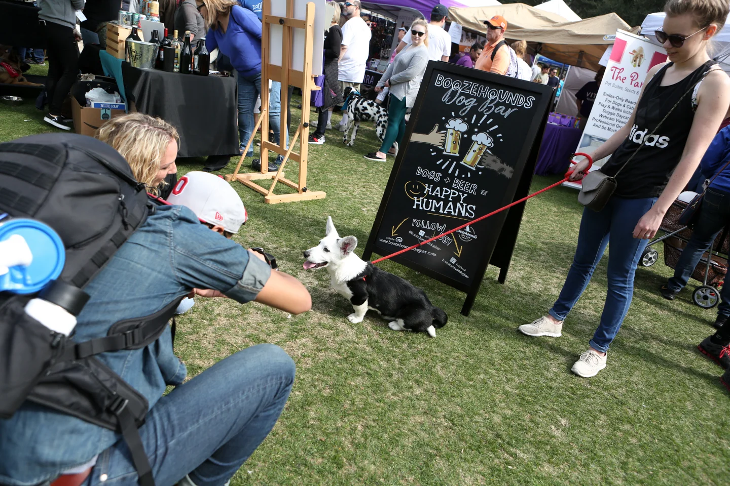 paws-in-the-park-boozehounds-dog-bar-www.dynamitestudioinc.com-professional-event-photography-orlando-winston-corgie-15.jpg