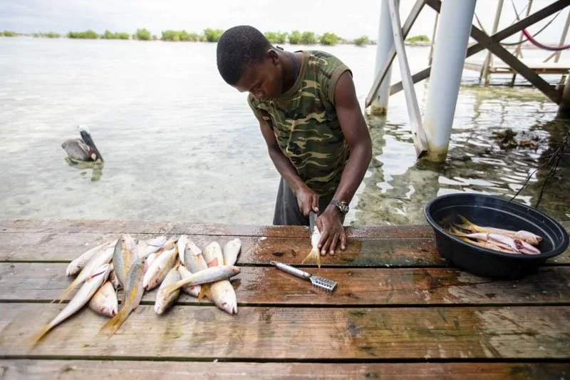 A young man cleaning fish on a wooden dock by the water, with several fish laid out in front of him and a black basin filled with fish. In the background, the water extends to a tree-lined horizon.
