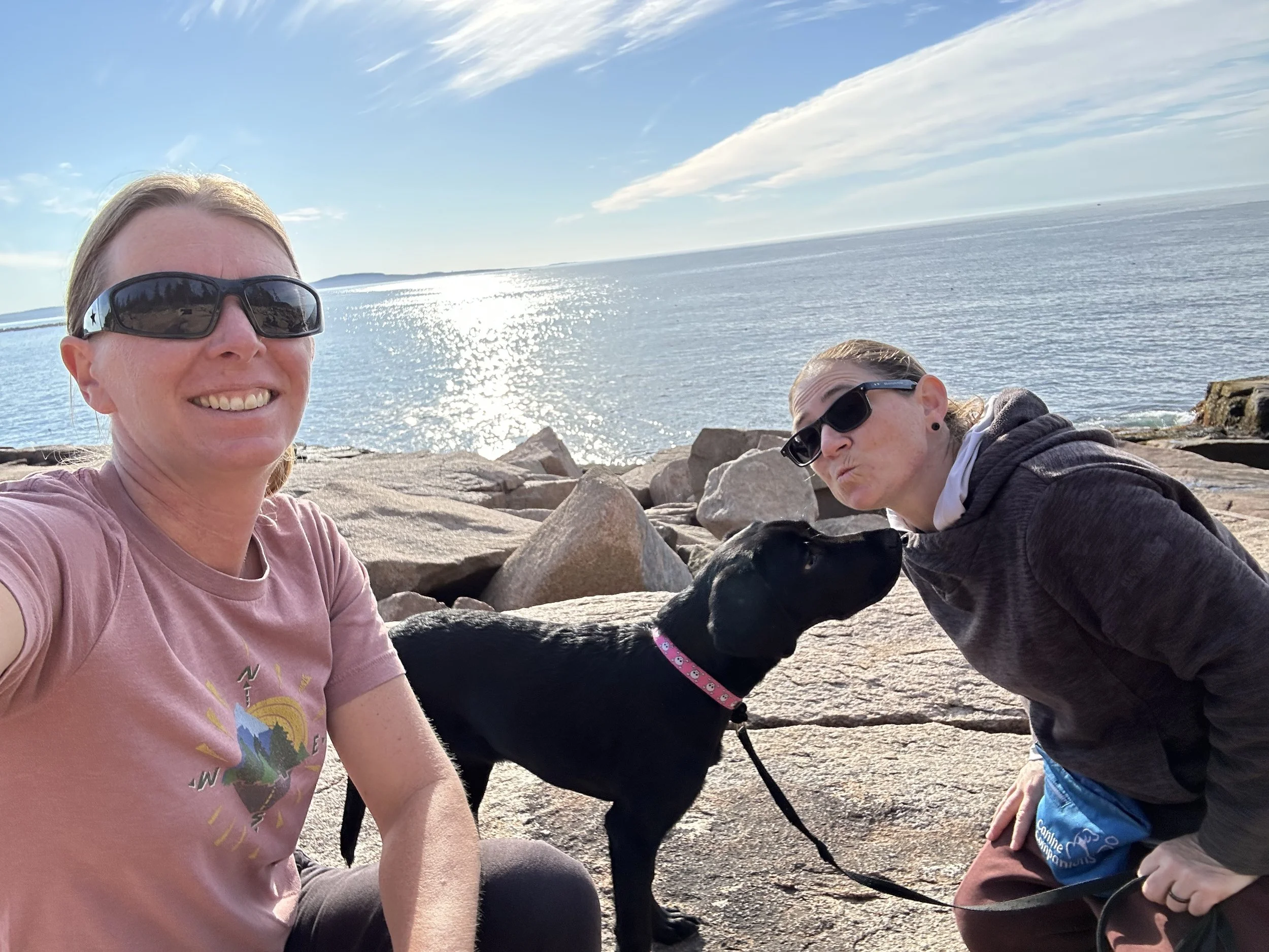 people and dog on a beach