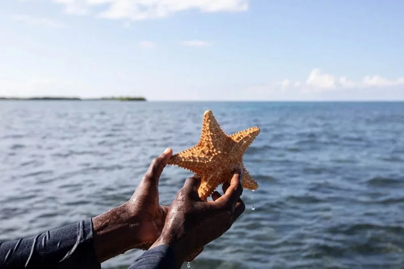 Two dark-skinned hands holding a starfish over the ocean with a water horizon and partly cloudy sky in the background.