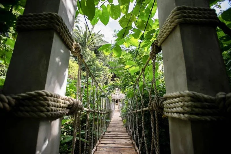 A wooden suspension bridge surrounded by lush green jungle foliage leading to a small thatched-roof hut.