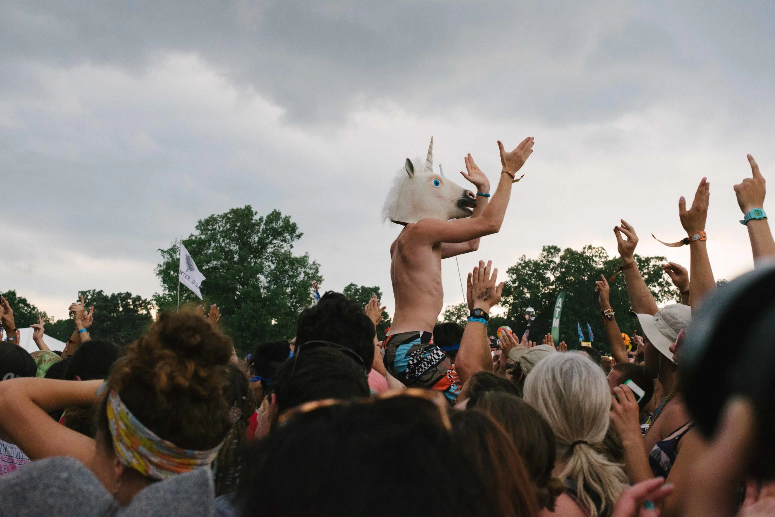 You never know what you will find at a concert. 