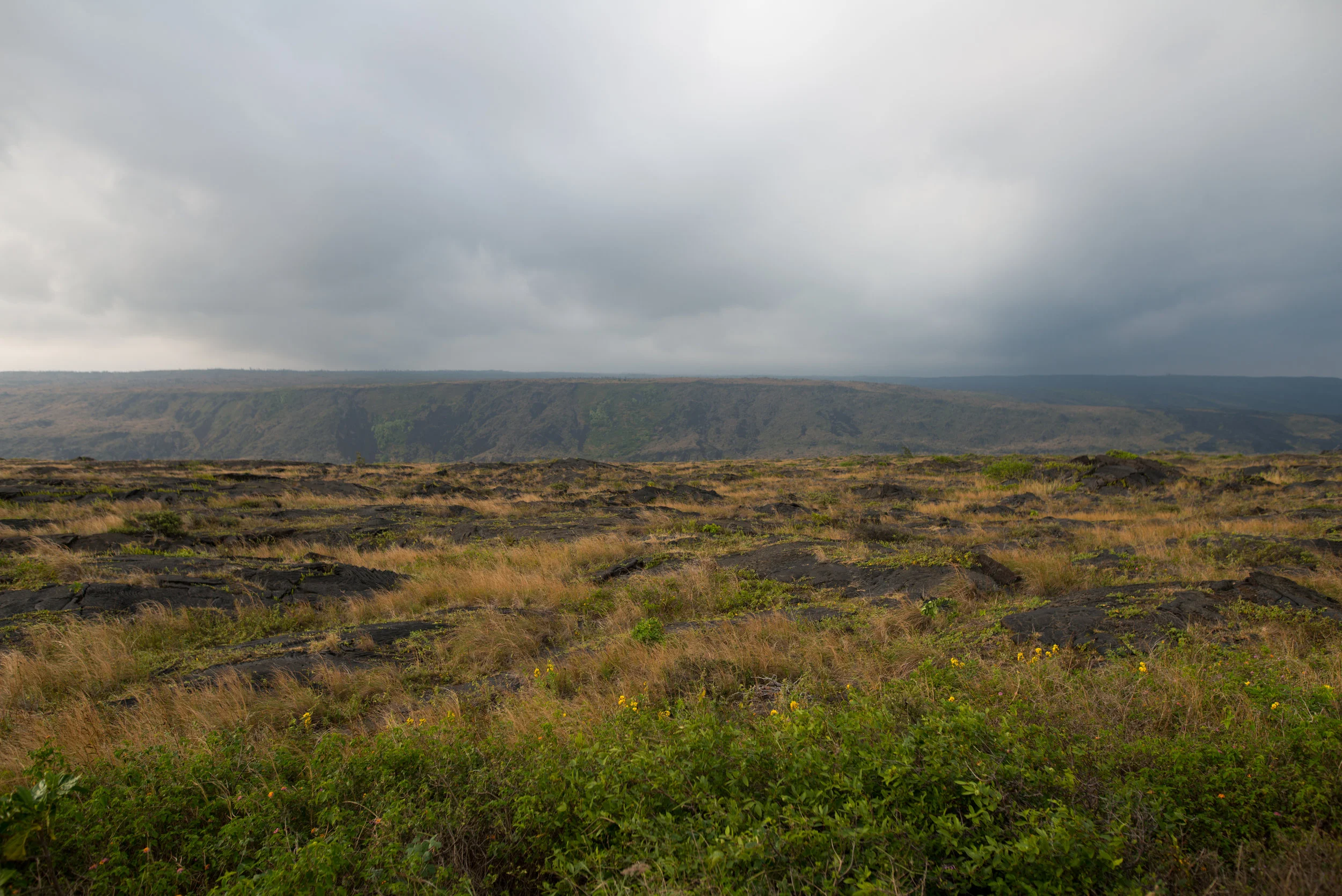 Hawaii-136.jpg