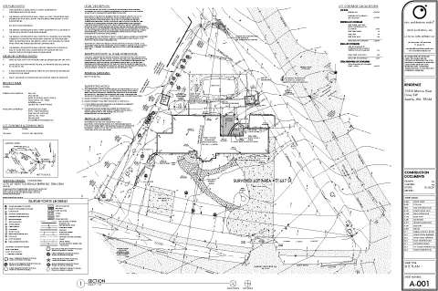 Permit-ready site plan, with surveyed information included