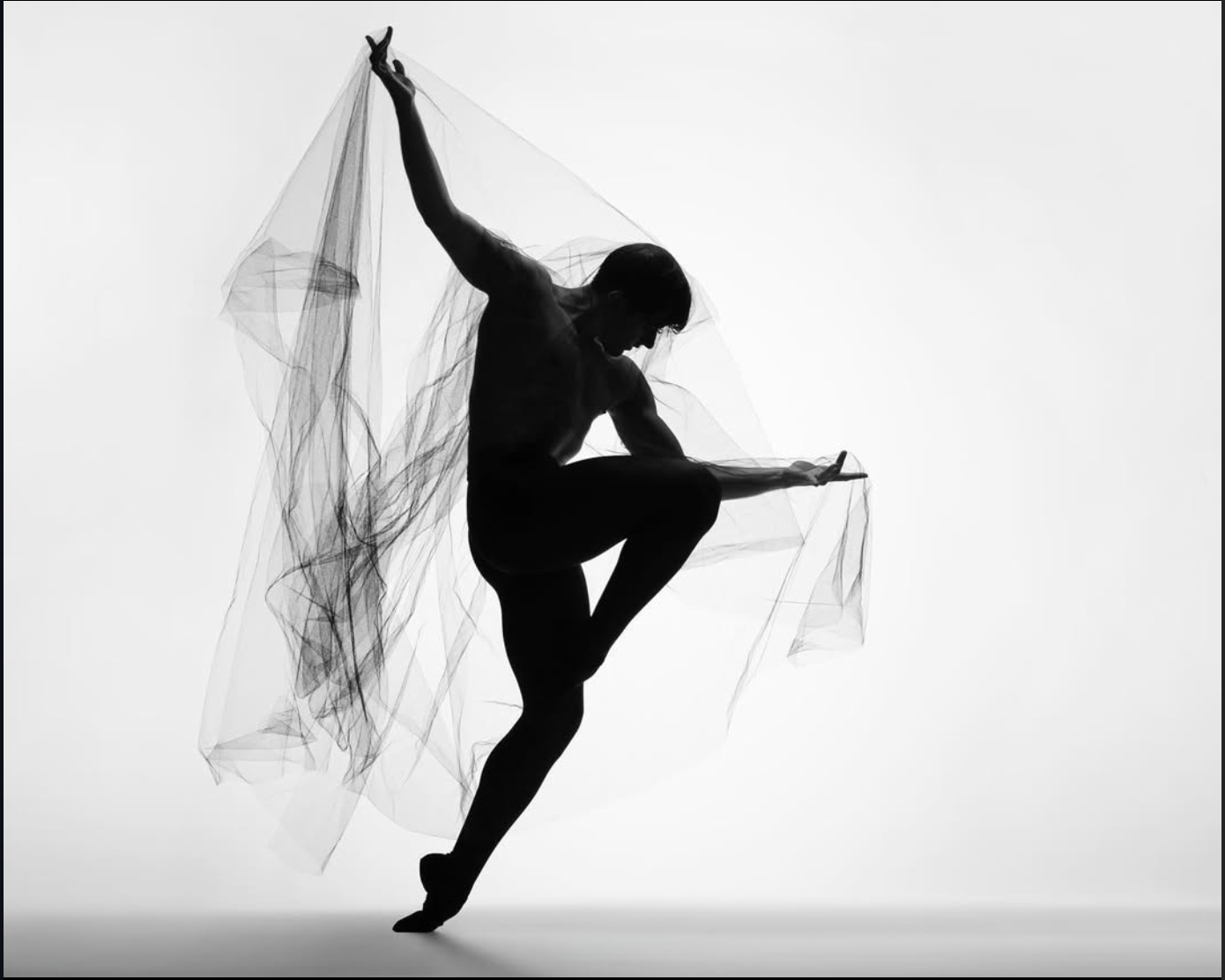 photo by Ashkan Roayaee