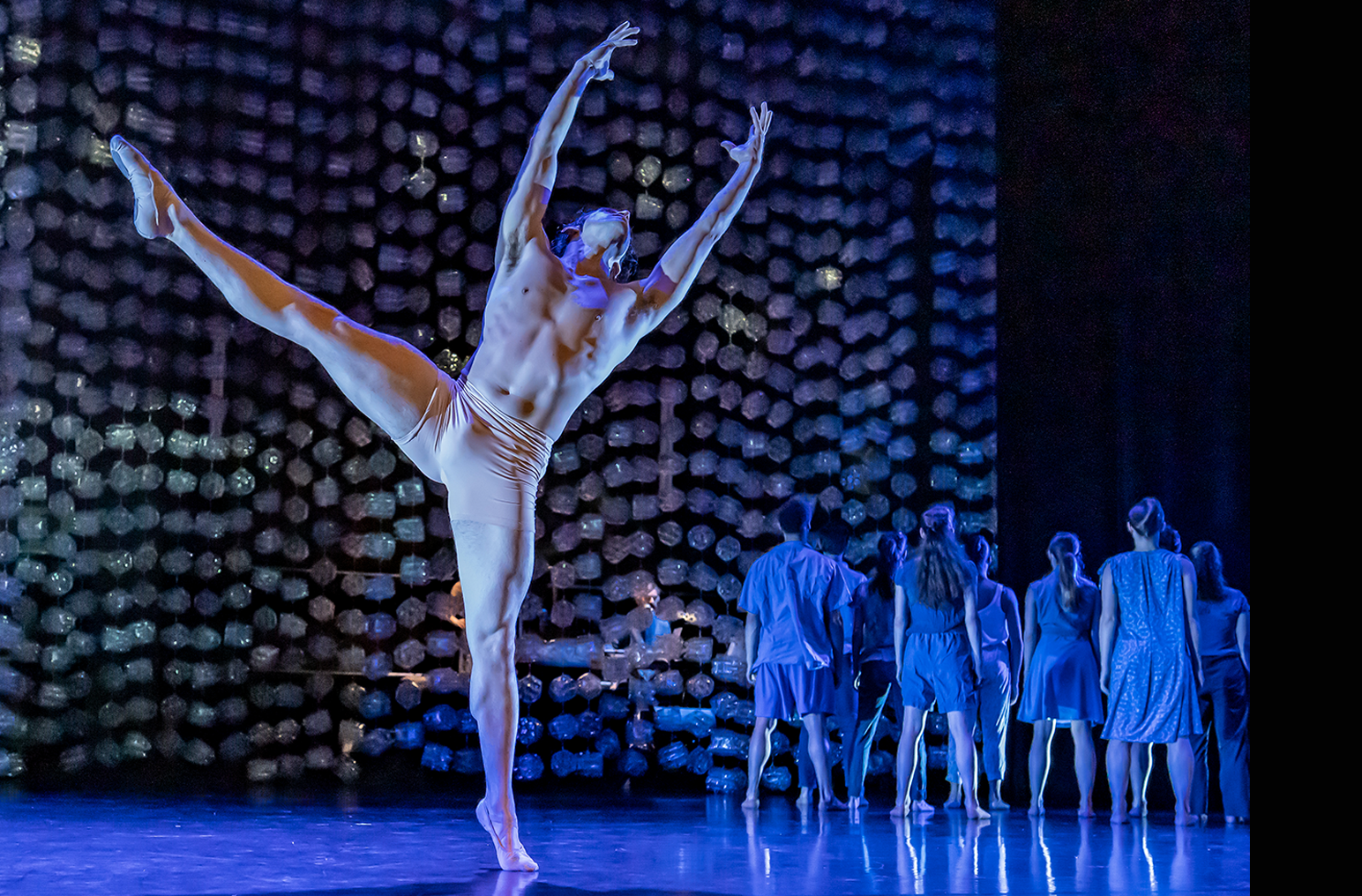 Appalachian Phoenix - photo by Irwin Fayne