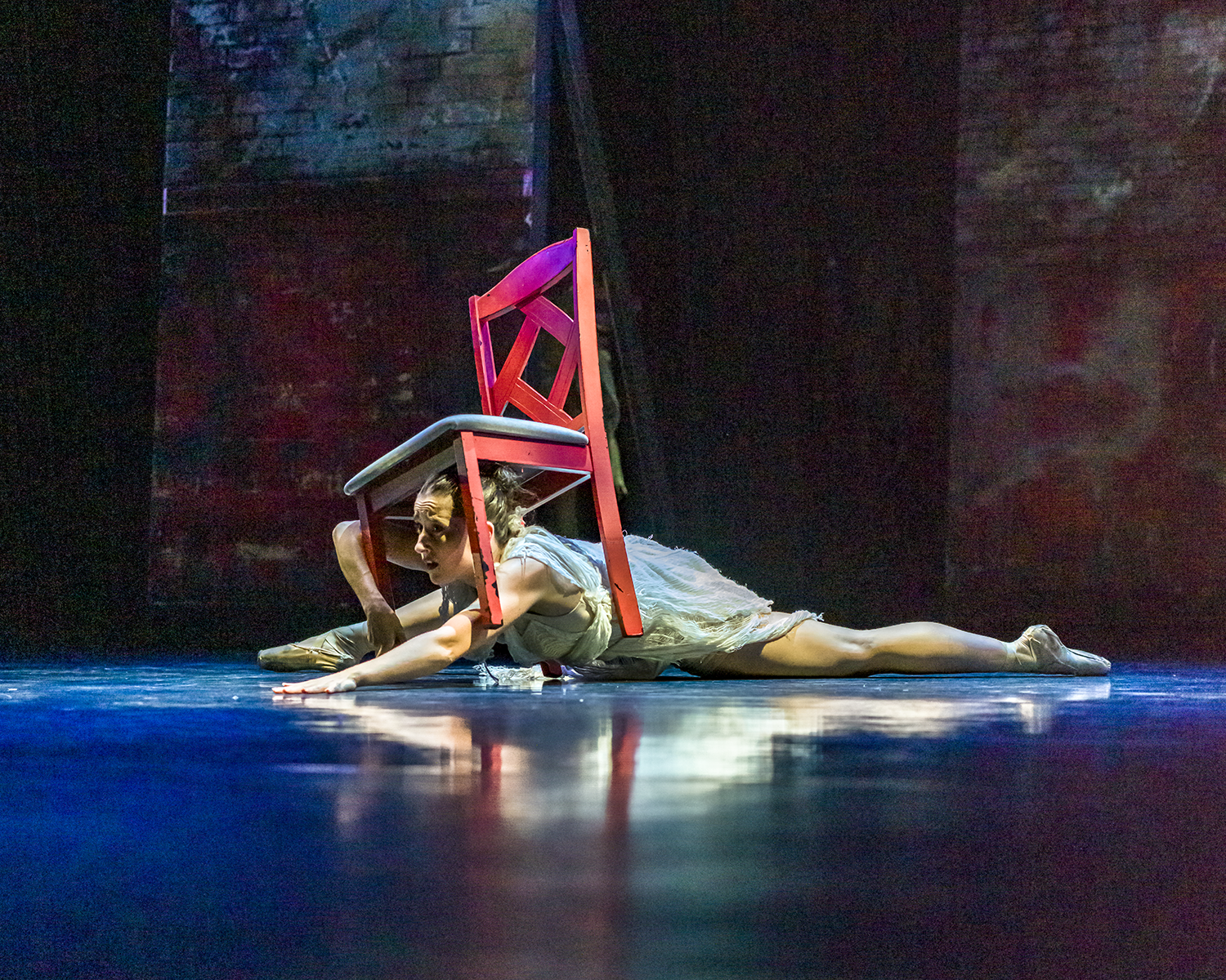 Jacy Contreras, photo by Tanja Kuic