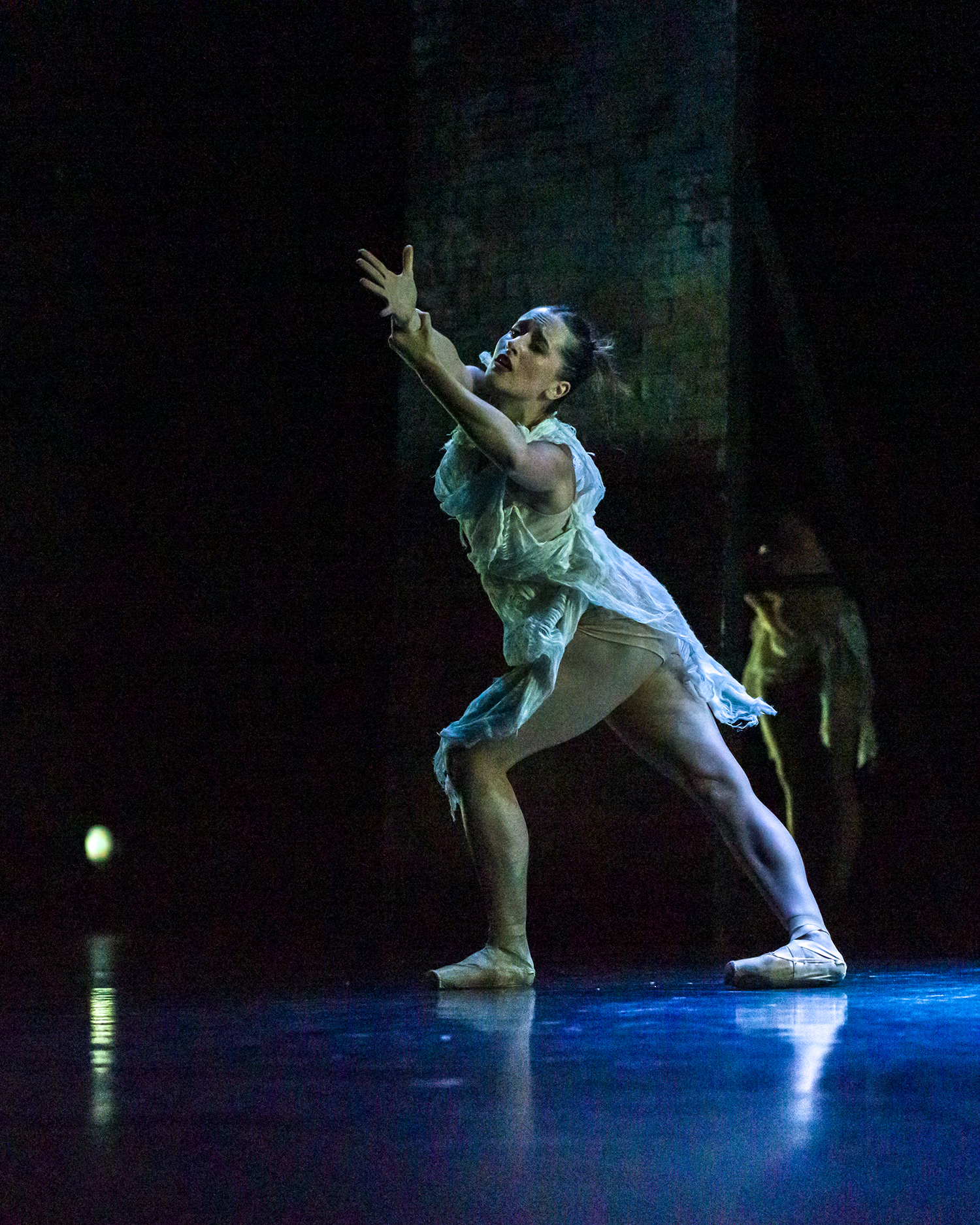 Jacy Contreras, photo by Tanja Kuic