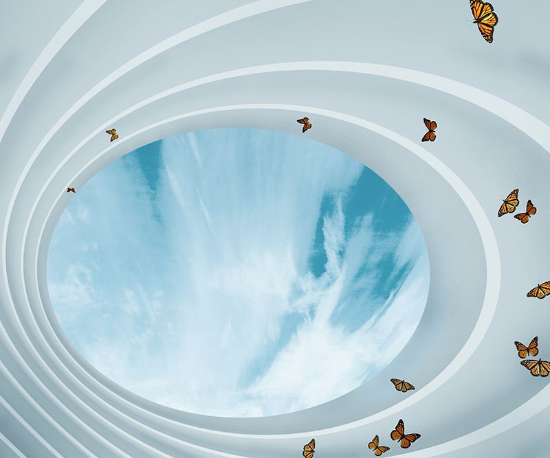 View of skylight.