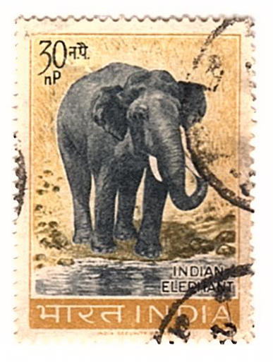 Indian elephant stamp.jpg