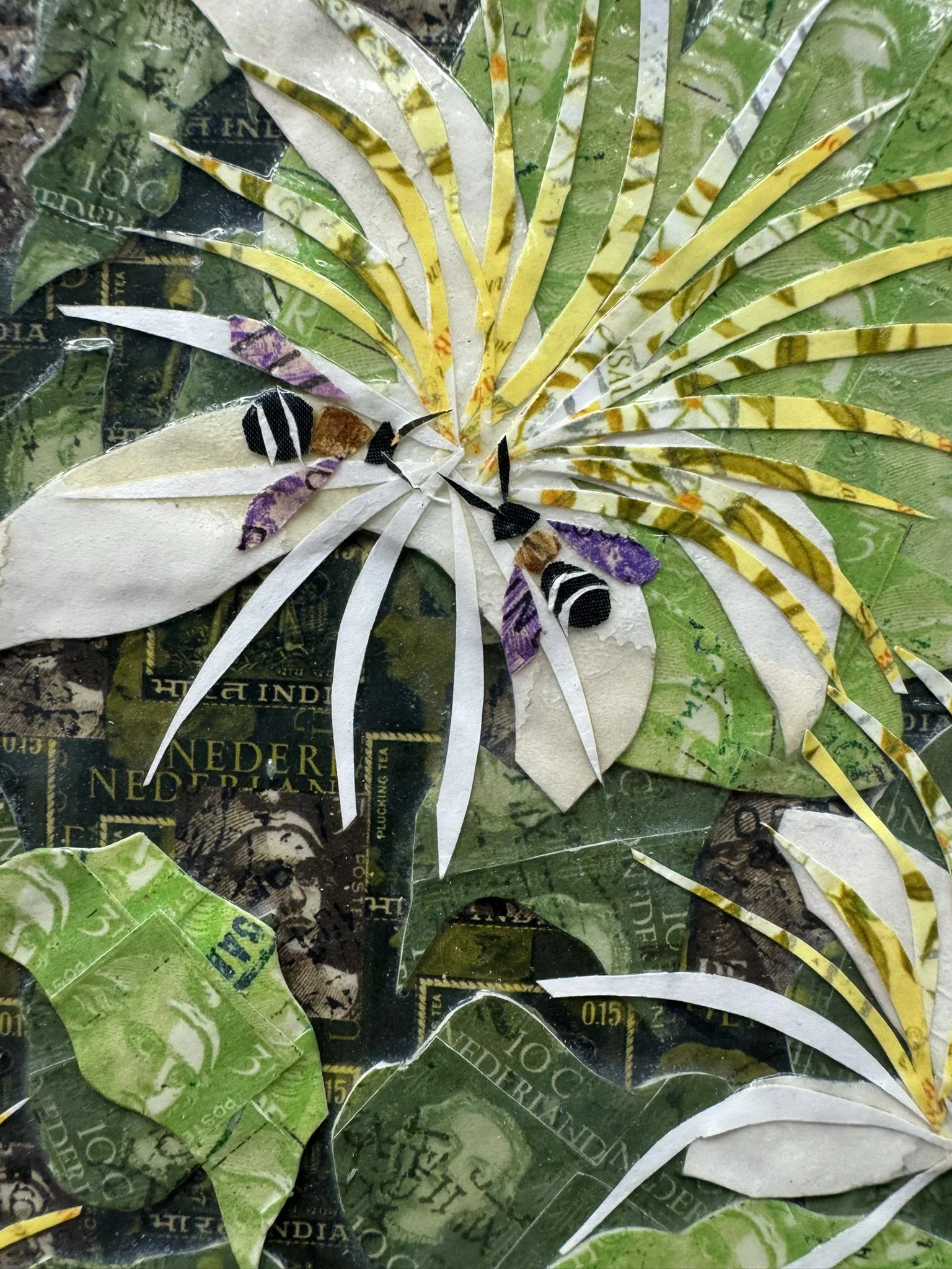 Valley Carpenter Bee (detail)