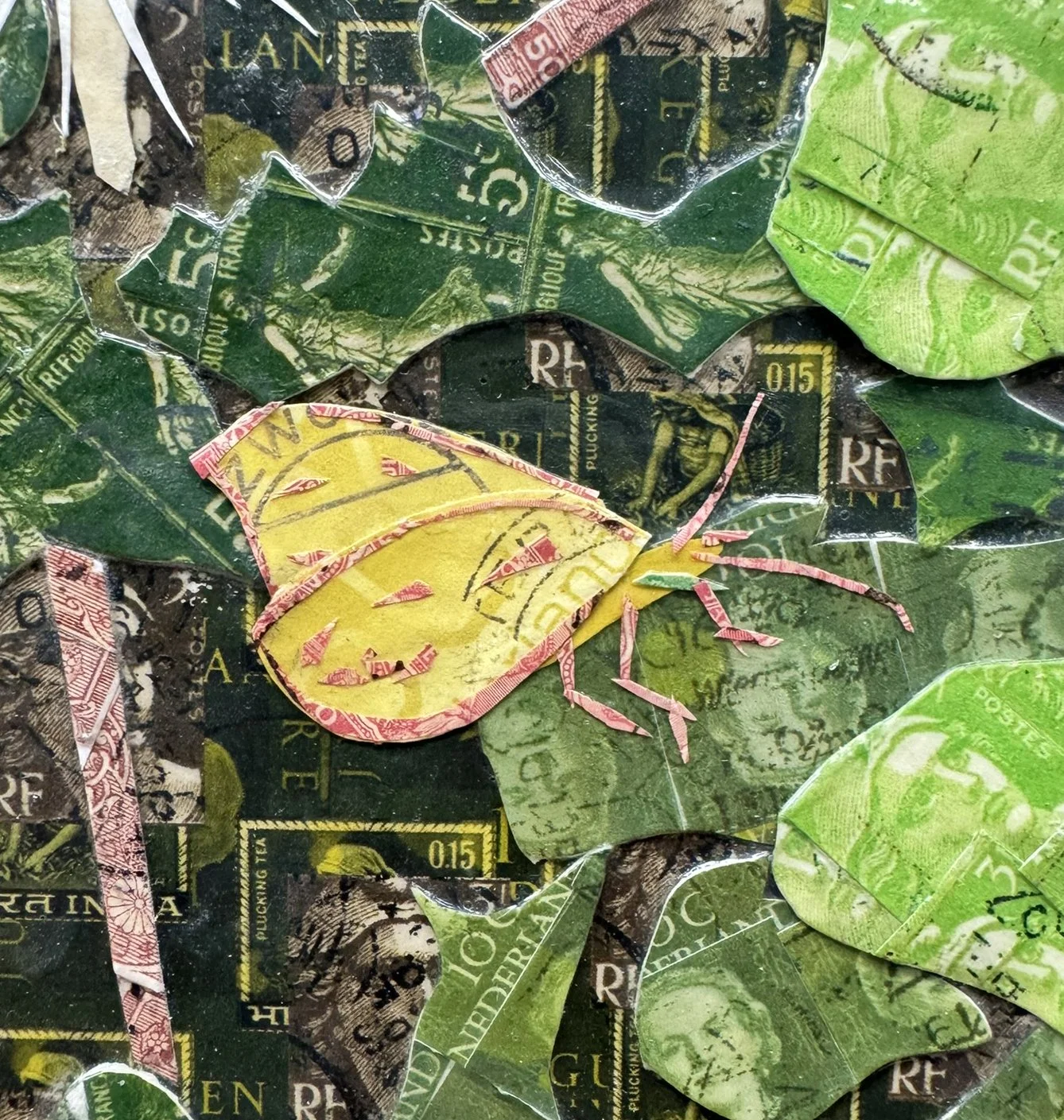Clouded Sulphur butterfly (detail)