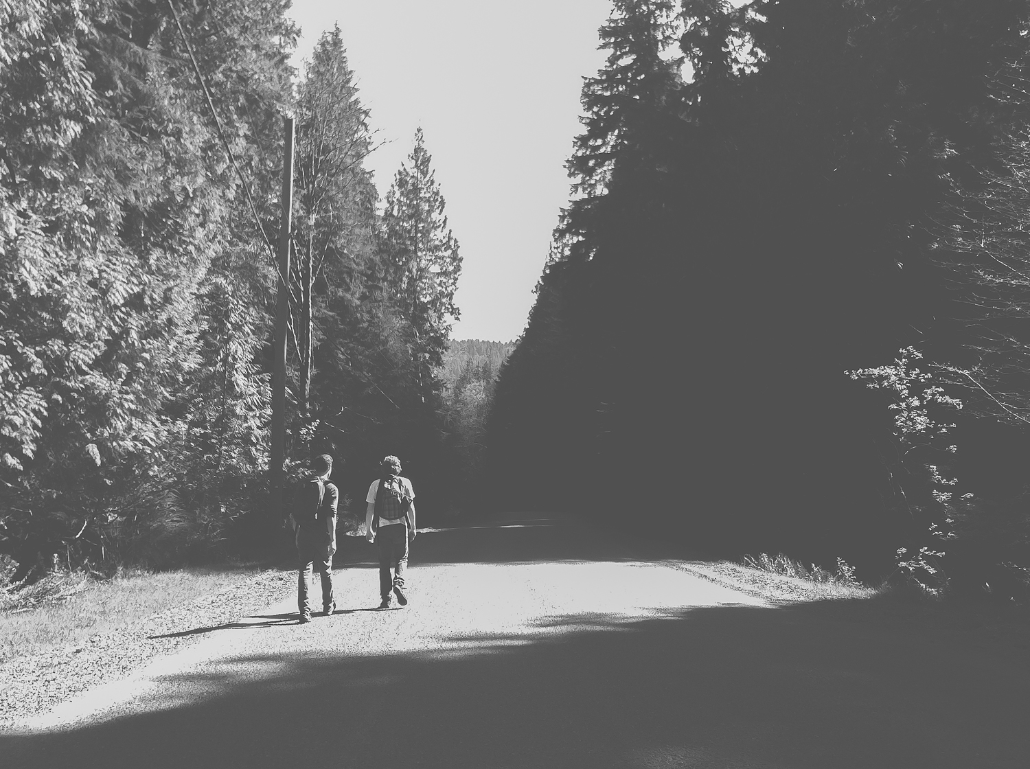 Bowen island wedding photographer