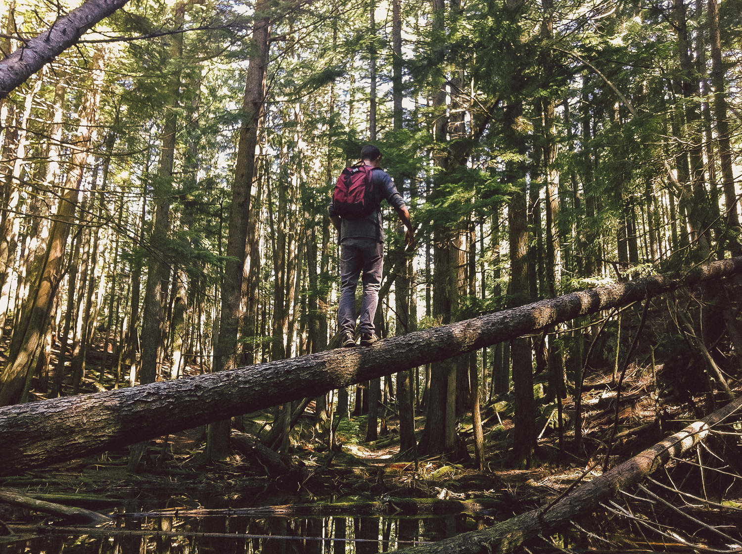 Bowen island wedding photographer