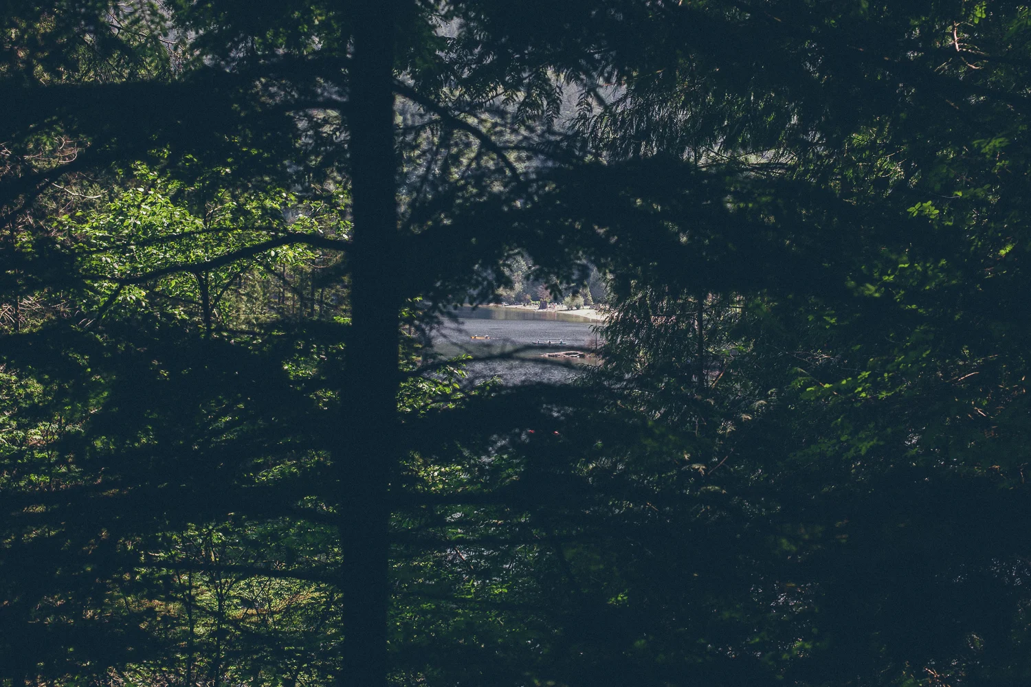 Buntzen lake hike