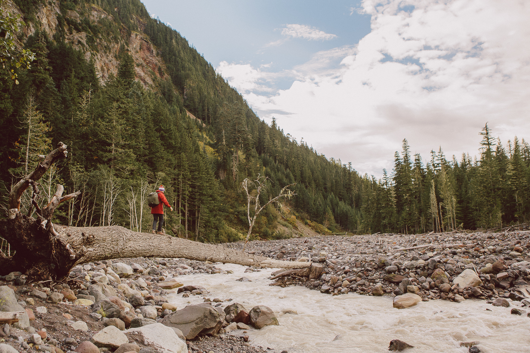 Mt Rainier hiking