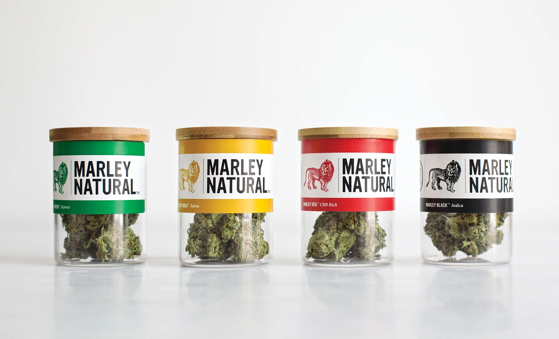 the herb