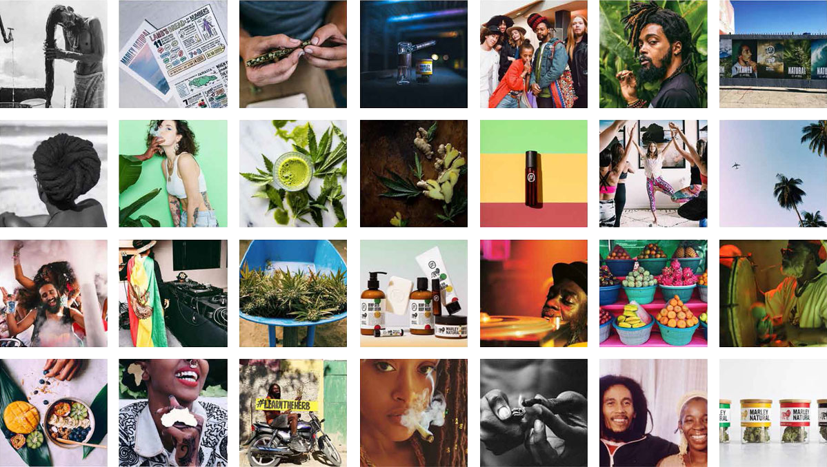 Marley Natural on Social Media