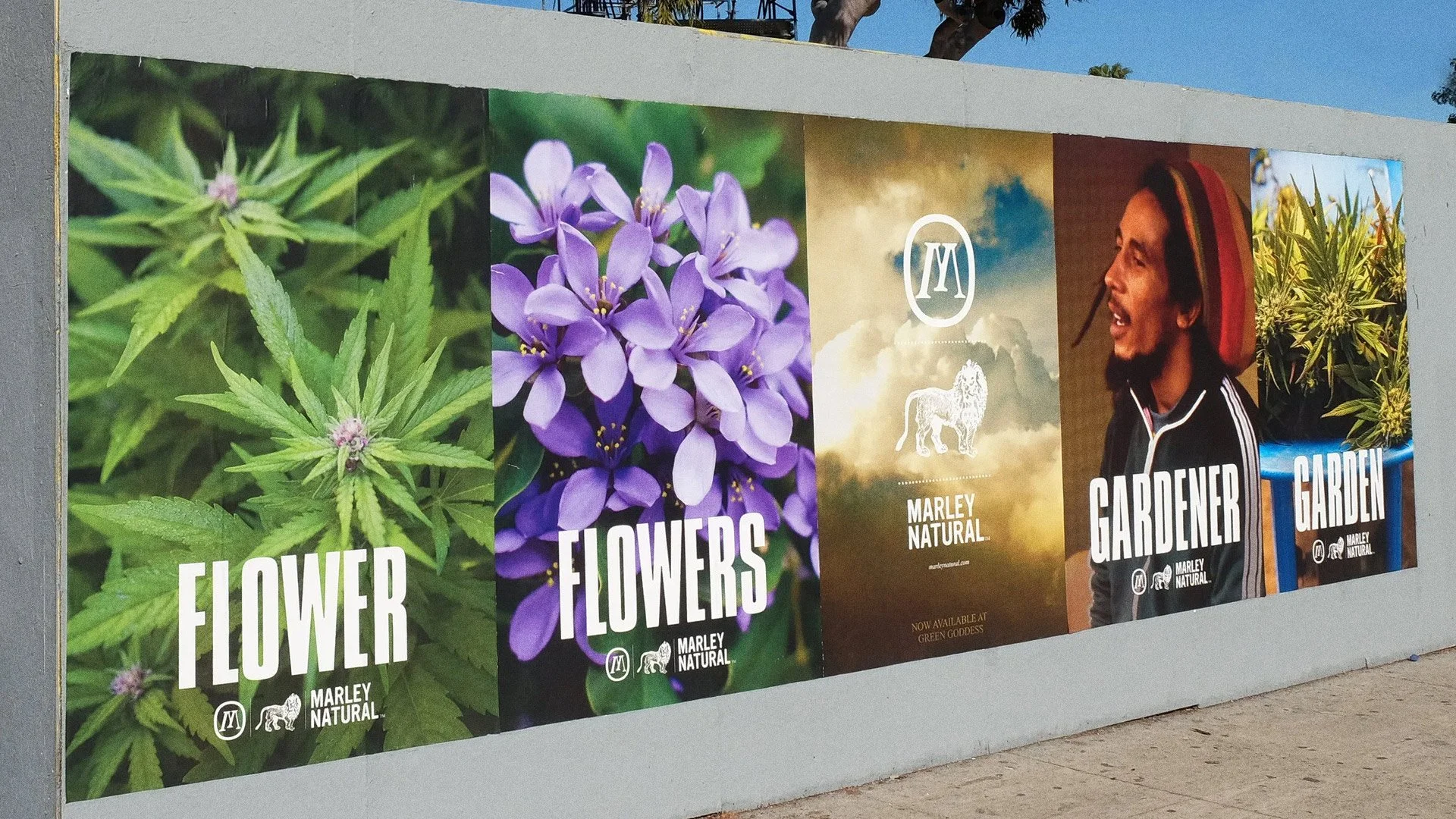 Garden.jpg